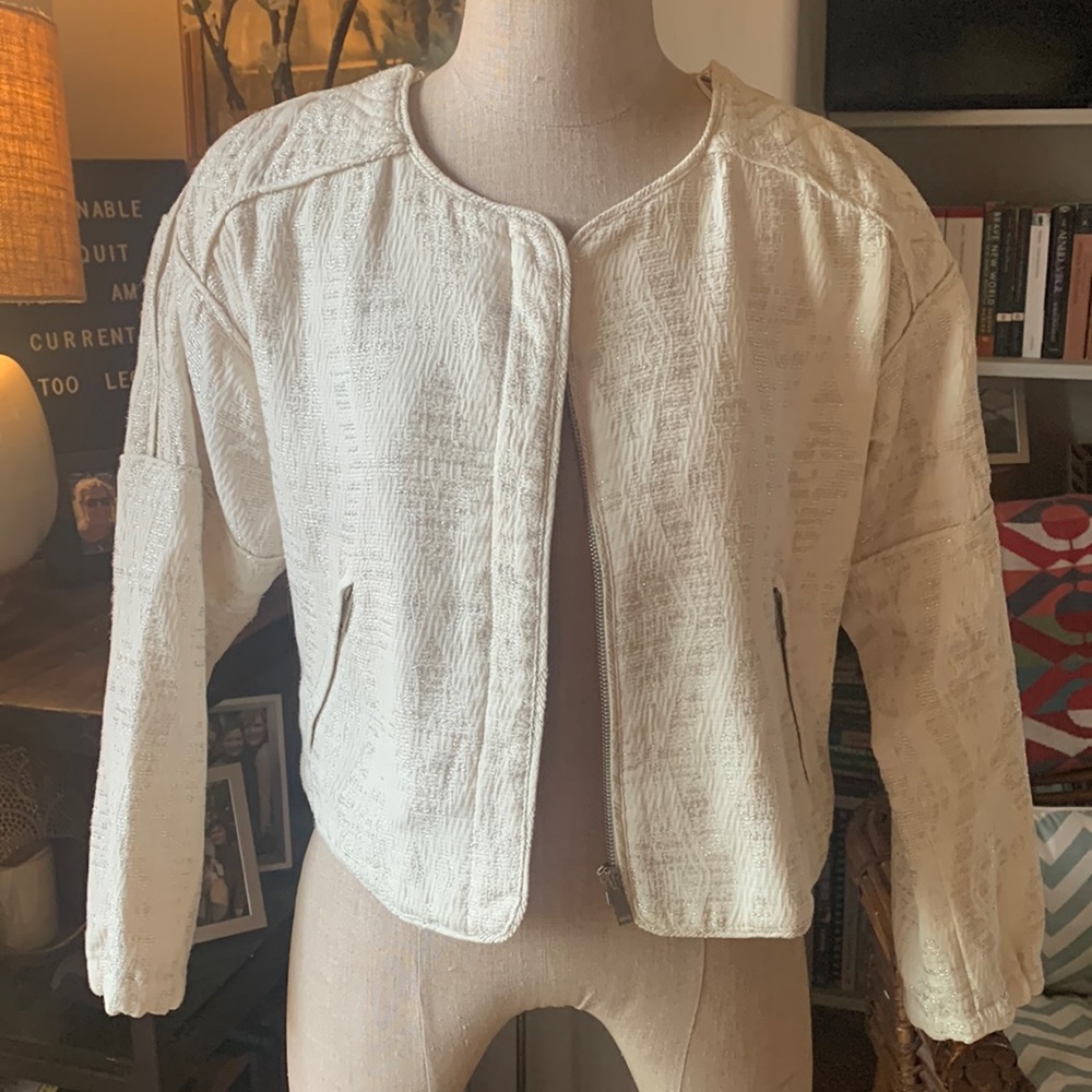Trafaluc ZARA silver embroidery zip crop jacket